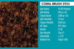 Coral Brush Activ Paspas